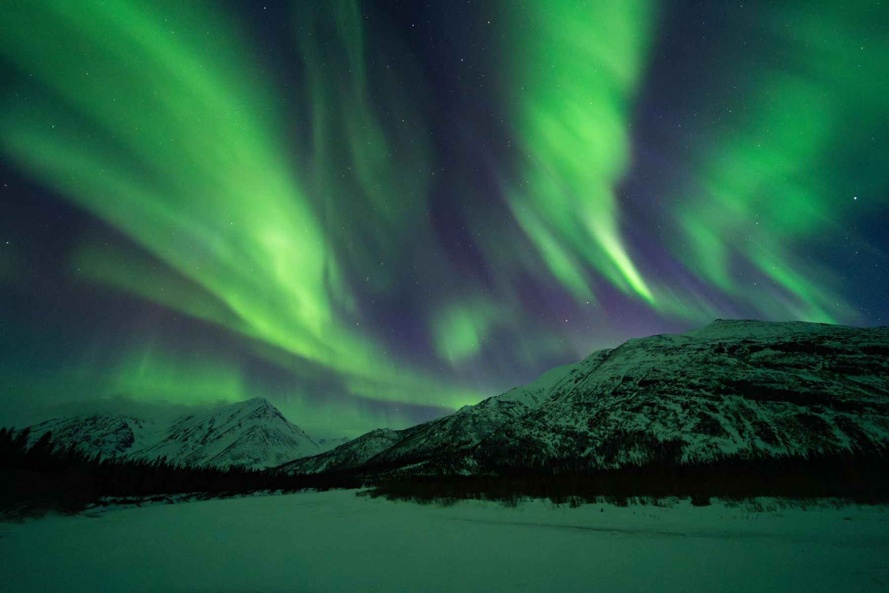 Aurora borealis Fairbanks