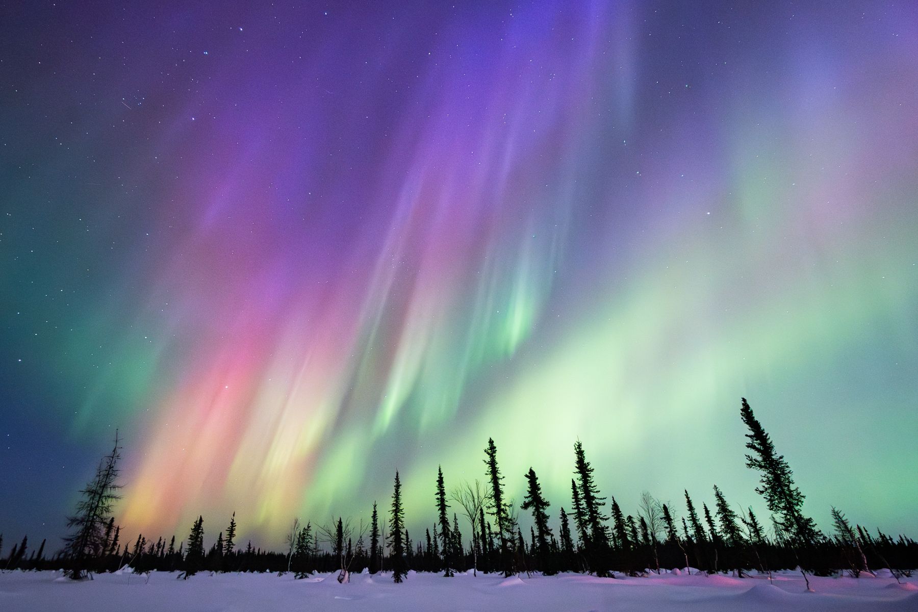 Fairbanks winter aurora